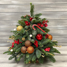 YOlka novogodnyaya krasnaya