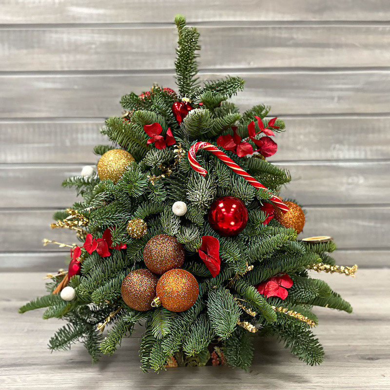 YOlka novogodnyaya krasnaya, standart