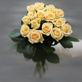 Букет из 17 кремовых роз (Россия) с лентой 60 см