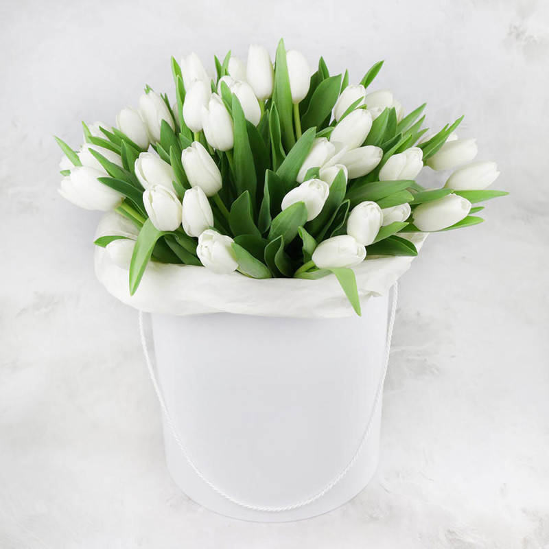 51 belij tyul_pan v shlyapnoj korobke, 51 tyul_pan