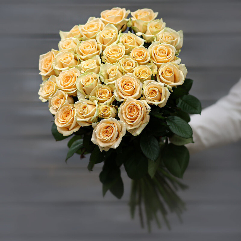 Buket iz 33 kremovih roz (Rossiya) s lentoj 60 sm, buket iz 33 kremovih roz (rossiya) s lentoj 60 sm