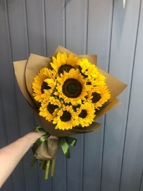 Подсолнухи 11