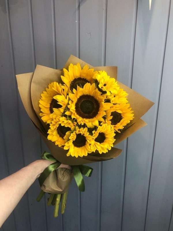 Подсолнухи 11, подсолнухи 11