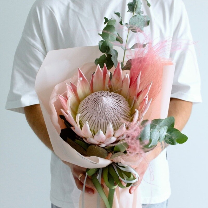 Волшебная протея, стандартный