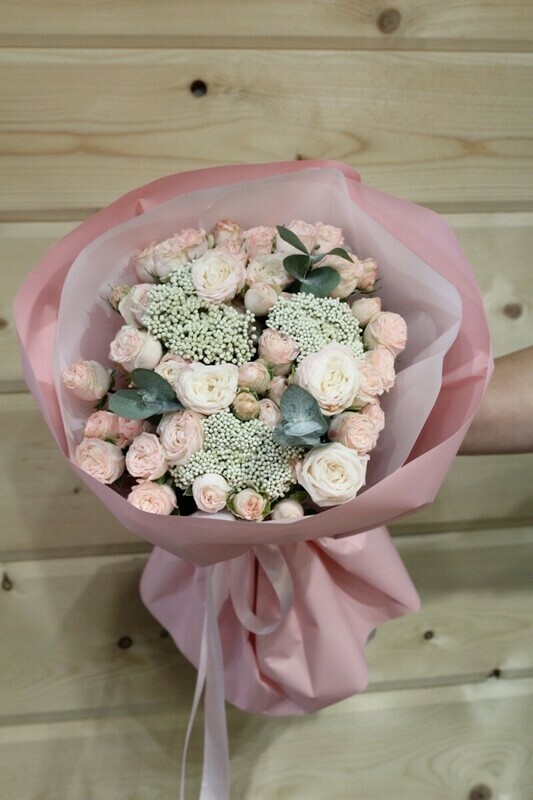 Devushka moej mechti, standart