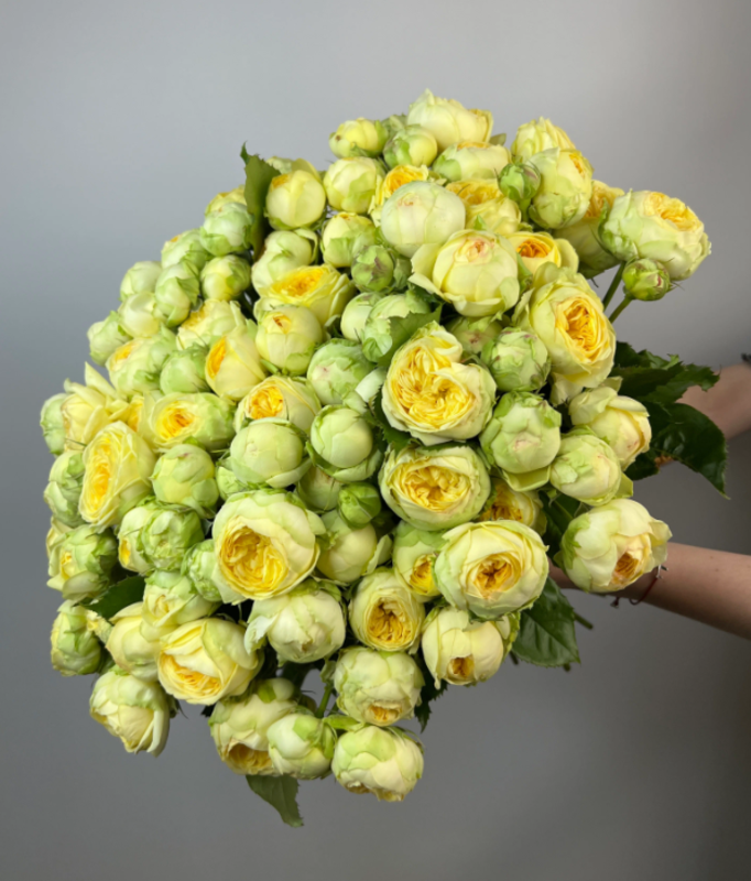 Букет из 41 кустовых роз "Пиони Баблз", букет из 41 кустовых роз "пиони баблз"