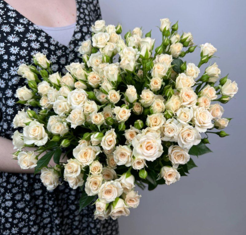Букет из 19 кустовых роз Крем Грация, букет из 19 кустовых роз крем грация, 50 см, белого и бежевого цвета