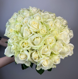 Buket iz 41 belih roz Avalanzh