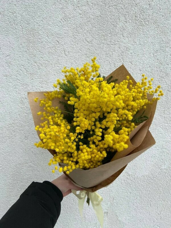 Букет мимозы, стандартный