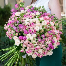 Антонимина