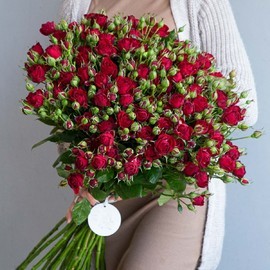 Красные Кустовые Розы