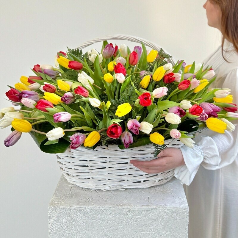 Tyul_pani v Bol_shoj Korzine, 151 tyul_pan