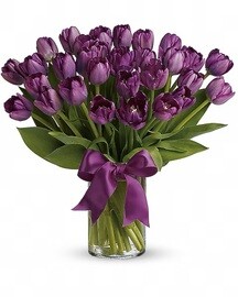 Фиолетовые Тюльпаны