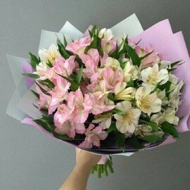 Волшебная альстромерия
