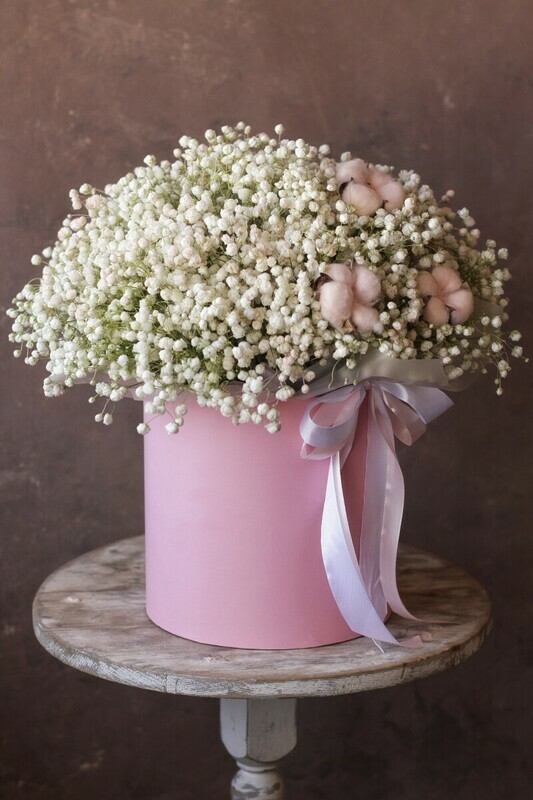 Nezhnaya gipsofila v korobochke, nezhnaya gipsofila v korobochke