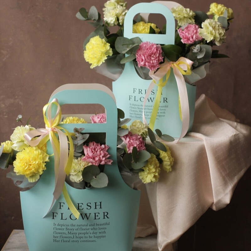 Diantusi v sumochke, razmer s