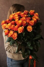 31 roza Ispaniya 70 sm