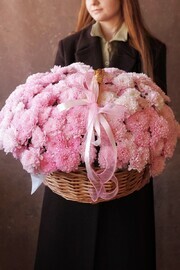 Rozovie hrizantemi v korzine 15 sht.