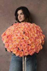 101 роза Мисс Пигги 50 см