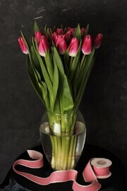 Тюльпан Циркут 19 шт