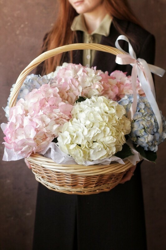 Miks gortenzij v korzine 7 sht., miks gortenzij v korzine 7 sht.