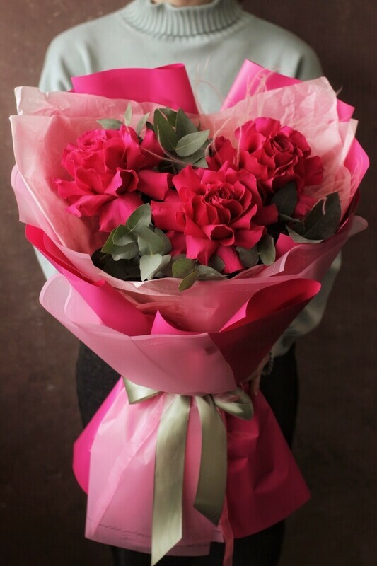 Temperament, frantcuzskaya roza