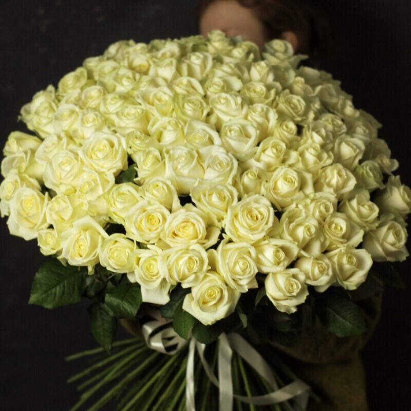 101 belaya roza Avalanche, luxe