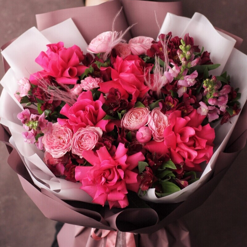 Донжуан малиновый, стандартный