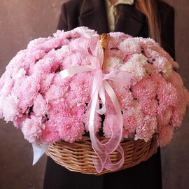 Розовые хризантемы в корзине 15 шт.