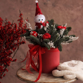 Novogodnyaya kompozitciya «Vremya skazok»