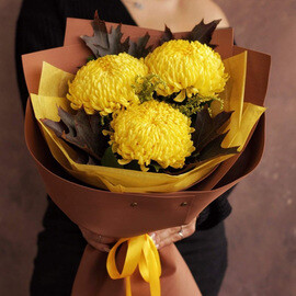 ZHeltie hrizantemi Creamist Yellow