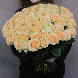 51 roza Peach Avalanche 50 sm