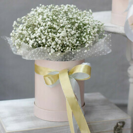 Белая гипсофила в шляпной коробке