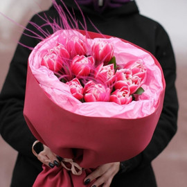 11 peony tulips 'Colambus'