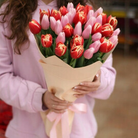 35 tulips "Colambus" "Gabriella"