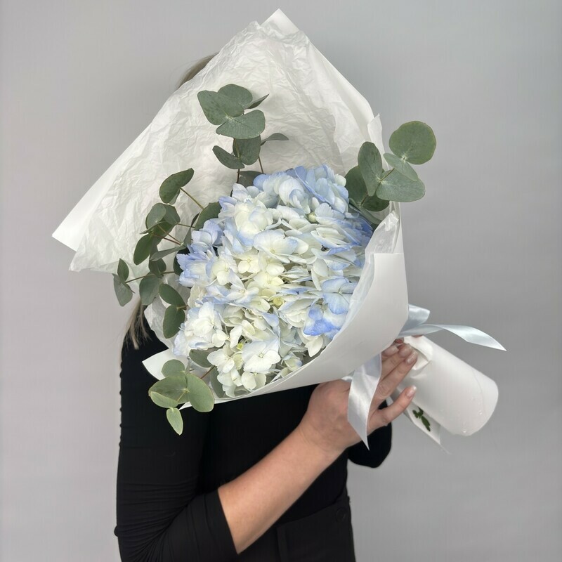 Golubaya gortenziya s evkaliptom, golubaya gortenziya s evkaliptom