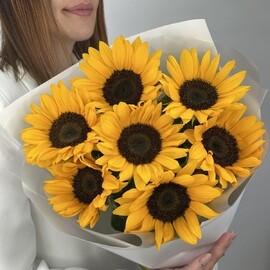 Букет из 7 подсолнухов