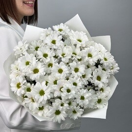 Buket iz 9 belih kustovih hrizantem