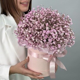 Композиция в коробке с розовой гипсофилой (5 шт)