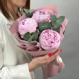 Buket iz 3 rozovih pionov s evkaliptom