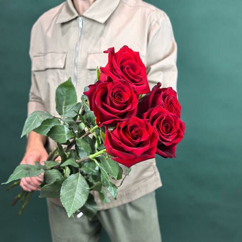 Букет розы Эксплорер 5 шт, букет розы эксплорер 5 шт