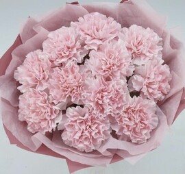 Нежные диантусы