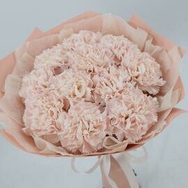 Кремовые диантусы х11