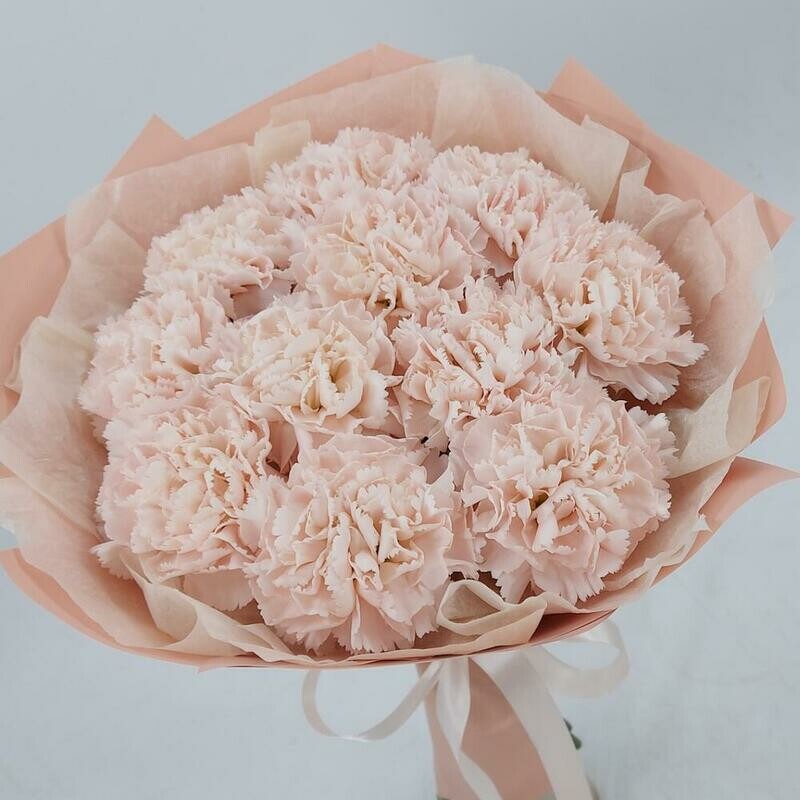 Кремовые диантусы х11, кремовые диантусы х11