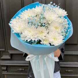 Hrizantema Baltika belaya, gipsofila. Art.10663