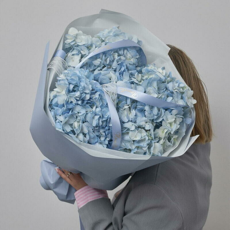 Nezhnij buket iz 3 golubih gortenzij, nezhnij buket iz 3 golubih gortenzij