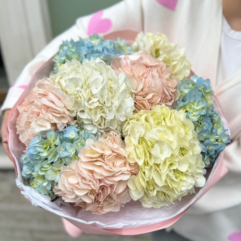 Вип букет гортензия 9 шт (моно 022), вип букет гортензия 9 шт (моно 022)