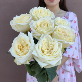 SHikarnaya pionovidnaya roza