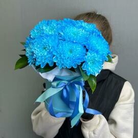 Hrizantema sinyaya v korobke