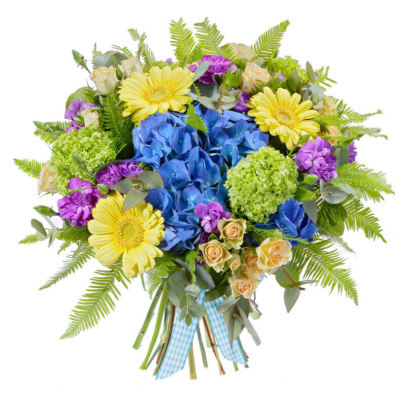 TCvetnie Mechti, standart